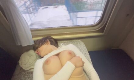 Sex in de trein met een knappe jonge vrouw
